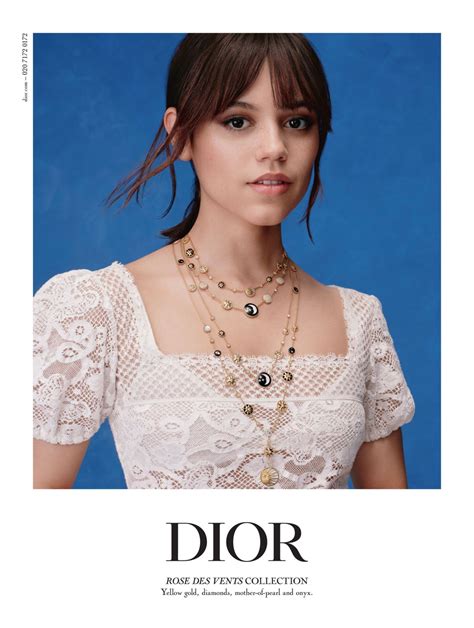 a qui appartient dior|Dior rose des vents.